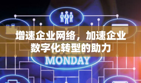 增速企业网络，加速企业数字化转型的助力