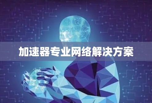 加速器专业网络解决方案