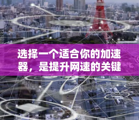 选择一个适合你的加速器，是提升网速的关键。以下是一个综合考虑的因素和推荐方案