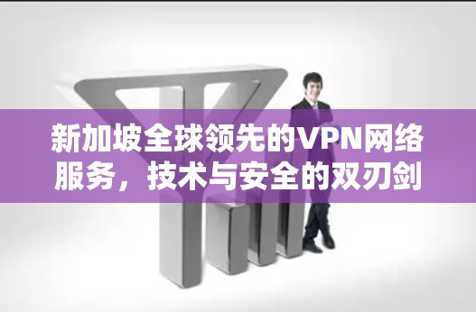 新加坡全球领先的VPN网络服务，技术与安全的双刃剑