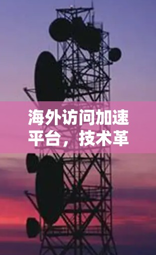海外访问加速平台，技术革新助力高效访问
