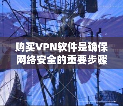 购买VPN软件是确保网络安全的重要步骤，以下是一个系统化的指南，帮助您逐步操作