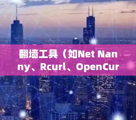 翻墙工具（如Net Nanny、Rcurl、OpenCurl等）的性能分析是一个综合性较强的分析，涉及多个方面，包括性能、安全性和用户体验。以下是对翻墙工具性能的分析