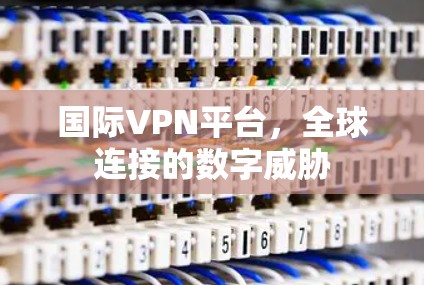 国际VPN平台，全球连接的数字威胁
