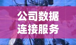 公司数据连接服务，从连接到安全