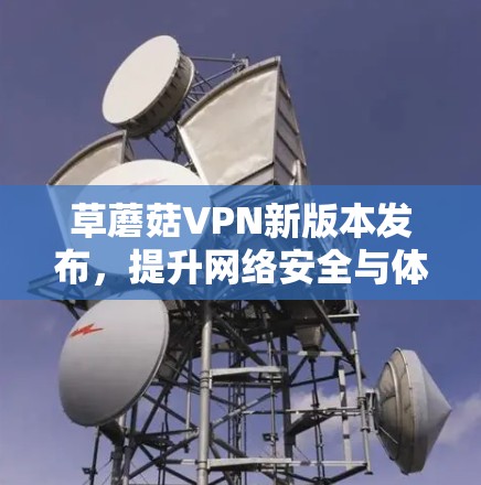 草蘑菇VPN新版本发布，提升网络安全与体验