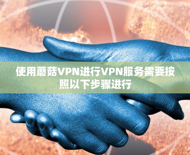使用蘑菇VPN进行VPN服务需要按照以下步骤进行