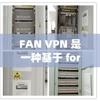 FAN VPN 是一种基于 fork-and-align 技术的VPN，提供端到端加密，支持多设备连接和异步协议。以下是使用 FAN VPN 的详细步骤和注意事项