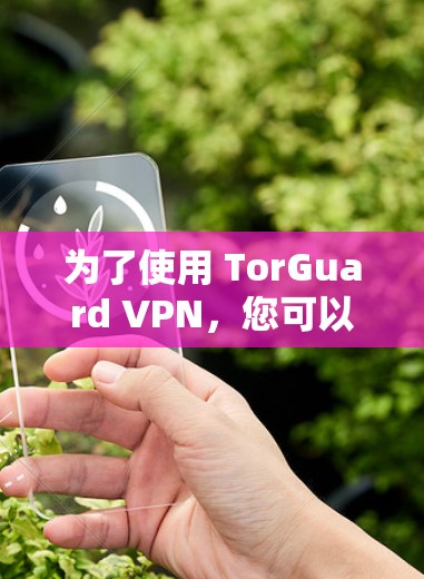 为了使用 TorGuard VPN，您可以按照以下步骤进行操作
