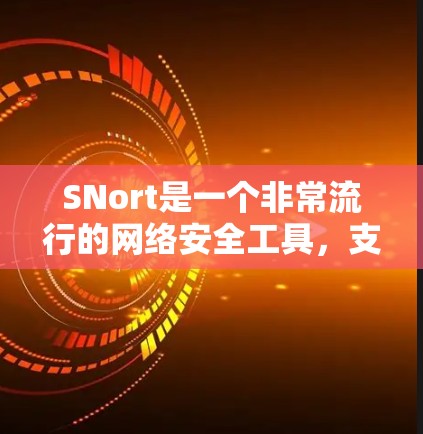 SNort是一个非常流行的网络安全工具，支持多语言，可以用于查看网络连接、查看安全记录、分析网络流量等。以下是几个常用的SNort应用
