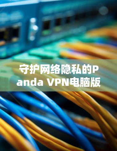 守护网络隐私的Panda VPN电脑版下载