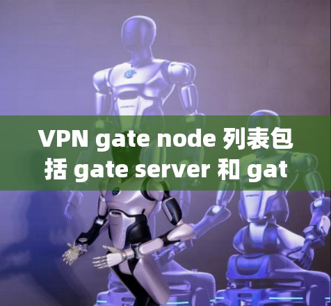 VPN gate node 列表包括 gate server 和 gate nodes。以下是关于这些 gate nodes 的详细介绍