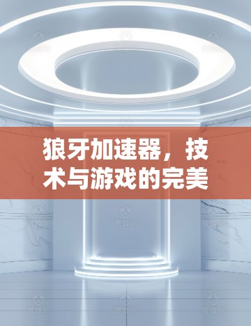 狼牙加速器，技术与游戏的完美融合