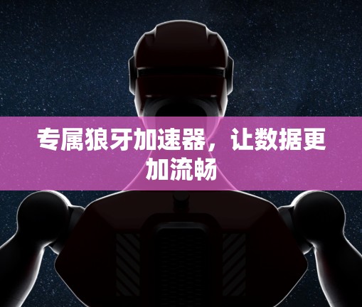 专属狼牙加速器，让数据更加流畅