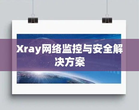Xray网络监控与安全解决方案