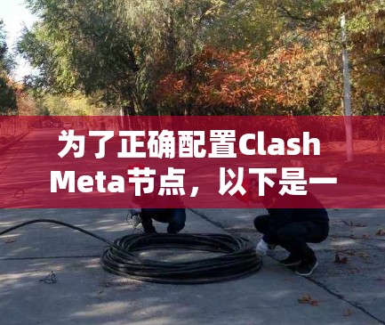 为了正确配置Clash Meta节点，以下是一些关键步骤和设置建议