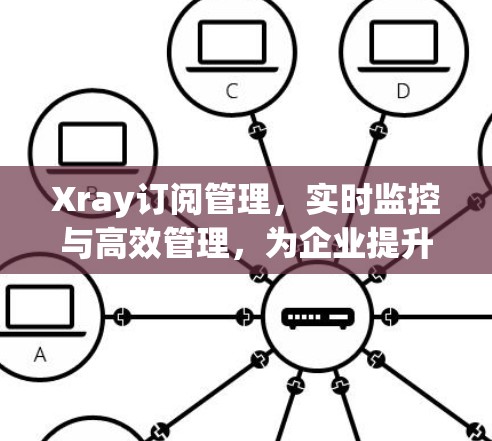 Xray订阅管理，实时监控与高效管理，为企业提升核心竞争力