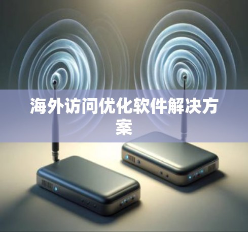 海外访问优化软件解决方案
