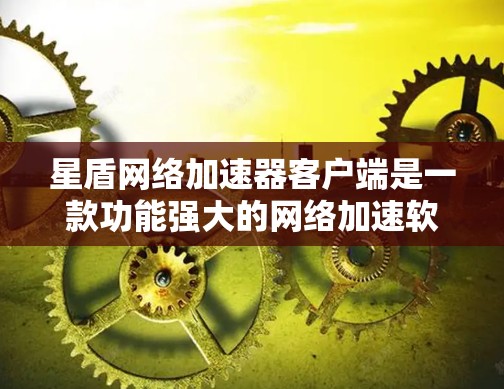 星盾网络加速器客户端是一款功能强大的网络加速软件，主要用于提升网络连接速度。以下是对星盾网络加速器客户端的详细介绍