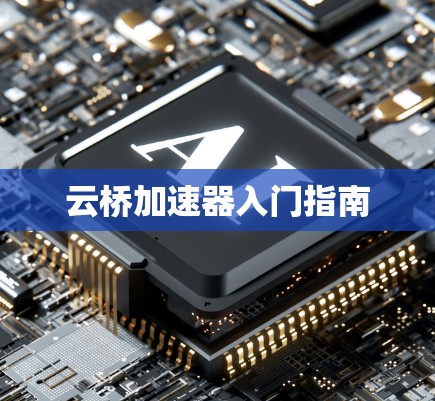 云桥加速器入门指南