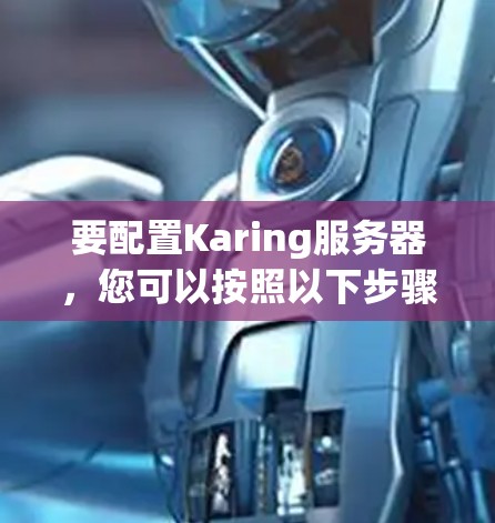 要配置Karing服务器，您可以按照以下步骤进行