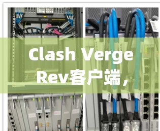 Clash Verge Rev客户端，流畅的游戏体验，卓越的系统性能