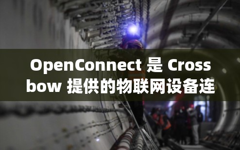 OpenConnect 是 Crossbow 提供的物联网设备连接软件，主要用于手机和物联网设备之间的数据交换和管理。以下是安装 OpenConnect 的详细步骤