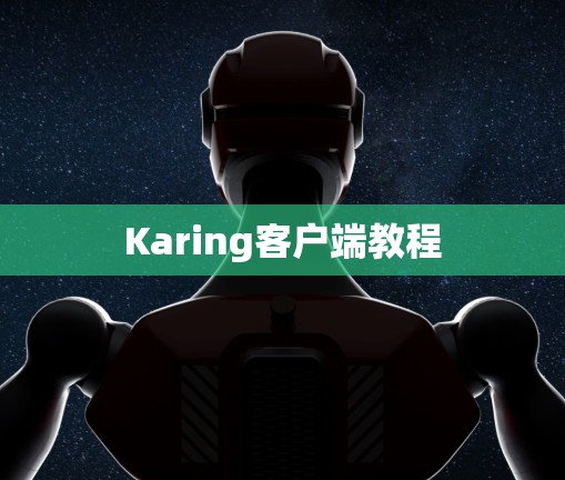 Karing客户端教程