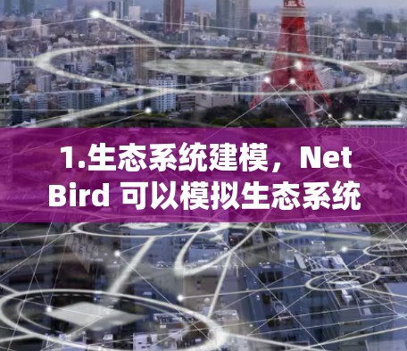 1.生态系统建模，NetBird 可以模拟生态系统中生物之间的相互作用，帮助研究者了解生态系统的稳定性、动力学和生物多样性