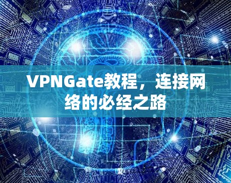 VPNGate教程，连接网络的必经之路