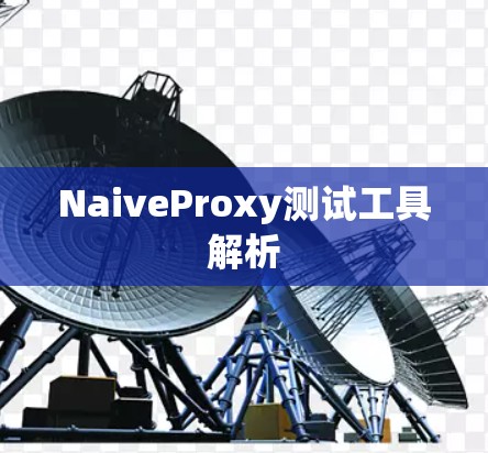 NaiveProxy测试工具解析