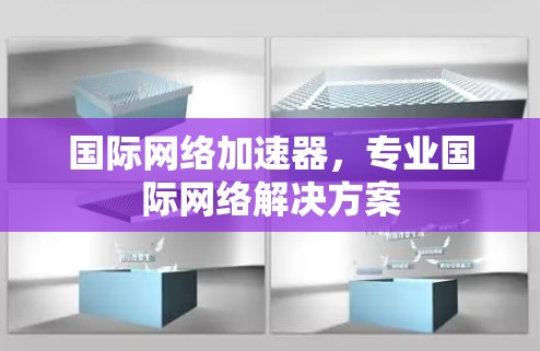 国际网络加速器，专业国际网络解决方案