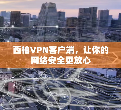 西柚VPN客户端，让你的网络安全更放心