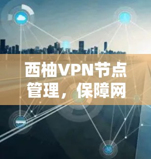 西柚VPN节点管理，保障网络安全的实用指南