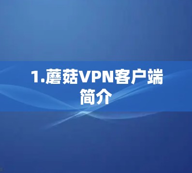 1.蘑菇VPN客户端简介