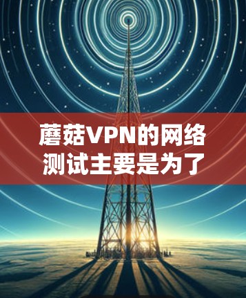 蘑菇VPN的网络测试主要是为了确保其连接到全球各地的VPN服务器时的稳定性、可靠性以及安全性。以下是蘑菇VPN网络测试的主要步骤和影响