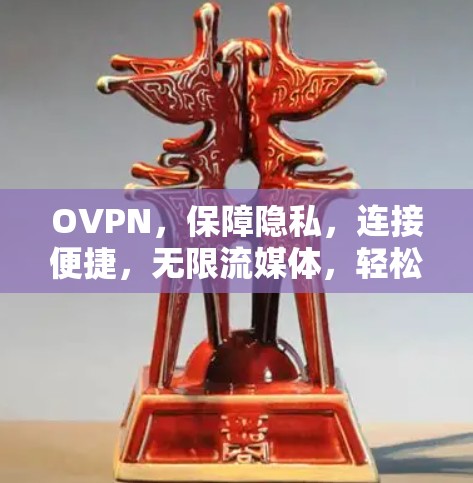 OVPN，保障隐私，连接便捷，无限流媒体，轻松娱乐