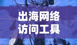 出海网络访问工具是帮助企业全面了解海外市场和机会的工具，包括网页工具、CRM工具、数据分析工具和项目管理工具。以下是对这些工具的详细分析和步骤说明