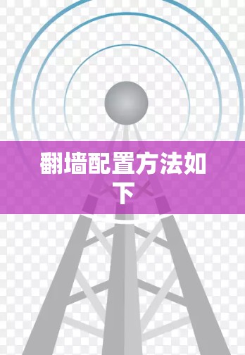 翻墙配置方法如下