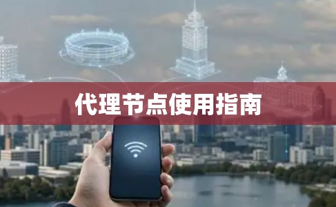 代理节点使用指南