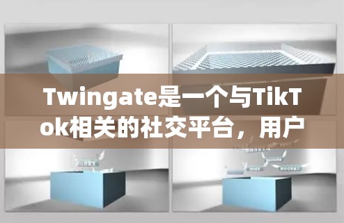 Twingate是一个与TikTok相关的社交平台，用户可以通过微信或TikTok进行互动。以下是关于如何进行网络连接的步骤说明