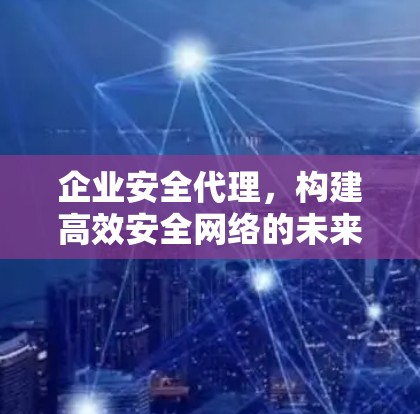 企业安全代理，构建高效安全网络的未来