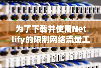 为了下载并使用Netlify的限制网络流量工具，您可以按照以下步骤进行