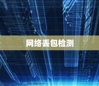 网络丢包检测