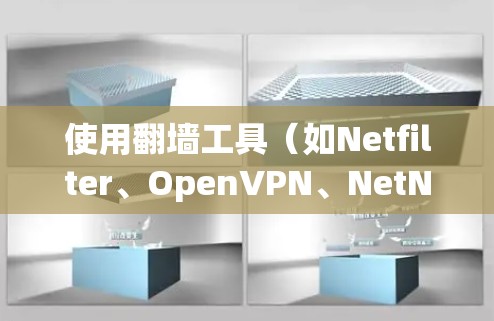 使用翻墙工具（如Netfilter、OpenVPN、NetNAT）时，以下是一些关键步骤和注意事项，帮助你配置和使用这些工具
